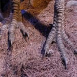 Harry Potter Tour London Watford Warner Bros Bild 103