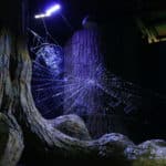 Harry Potter Tour London Watford Warner Bros Bild 107