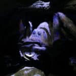 Harry Potter Tour London Watford Warner Bros Bild 108