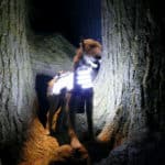 Harry Potter Tour London Watford Warner Bros Bild 110