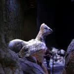 Harry Potter Tour London Watford Warner Bros Bild 112