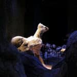 Harry Potter Tour London Watford Warner Bros Bild 113