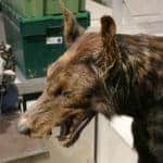 Harry Potter Tour London Watford Warner Bros Bild 174