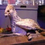 Harry Potter Tour London Watford Warner Bros Bild 180