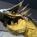 Harry Potter Tour London Watford Warner Bros Bild 184