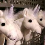 Harry Potter Tour London Watford Warner Bros Bild 231